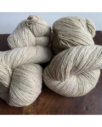 "Dundaga"- latvian sheep...